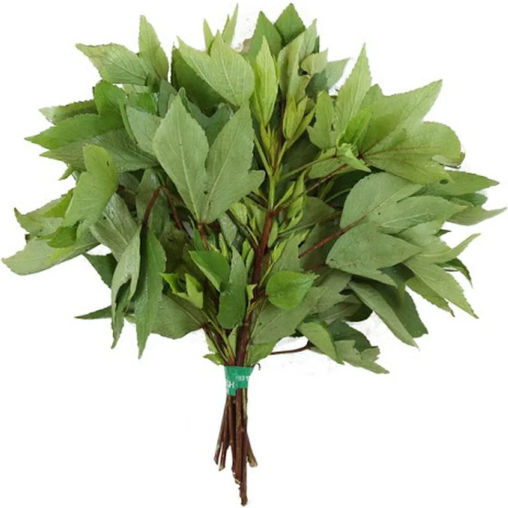 Fresh Jute Leaves