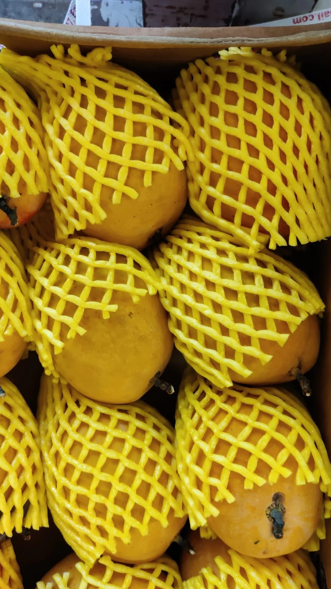 Fresh Mangoes