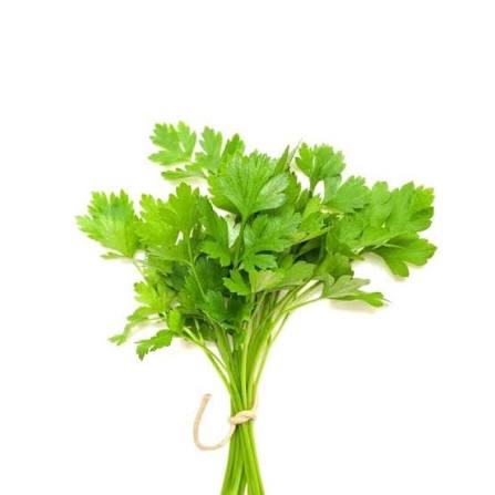 Coriander Leaves