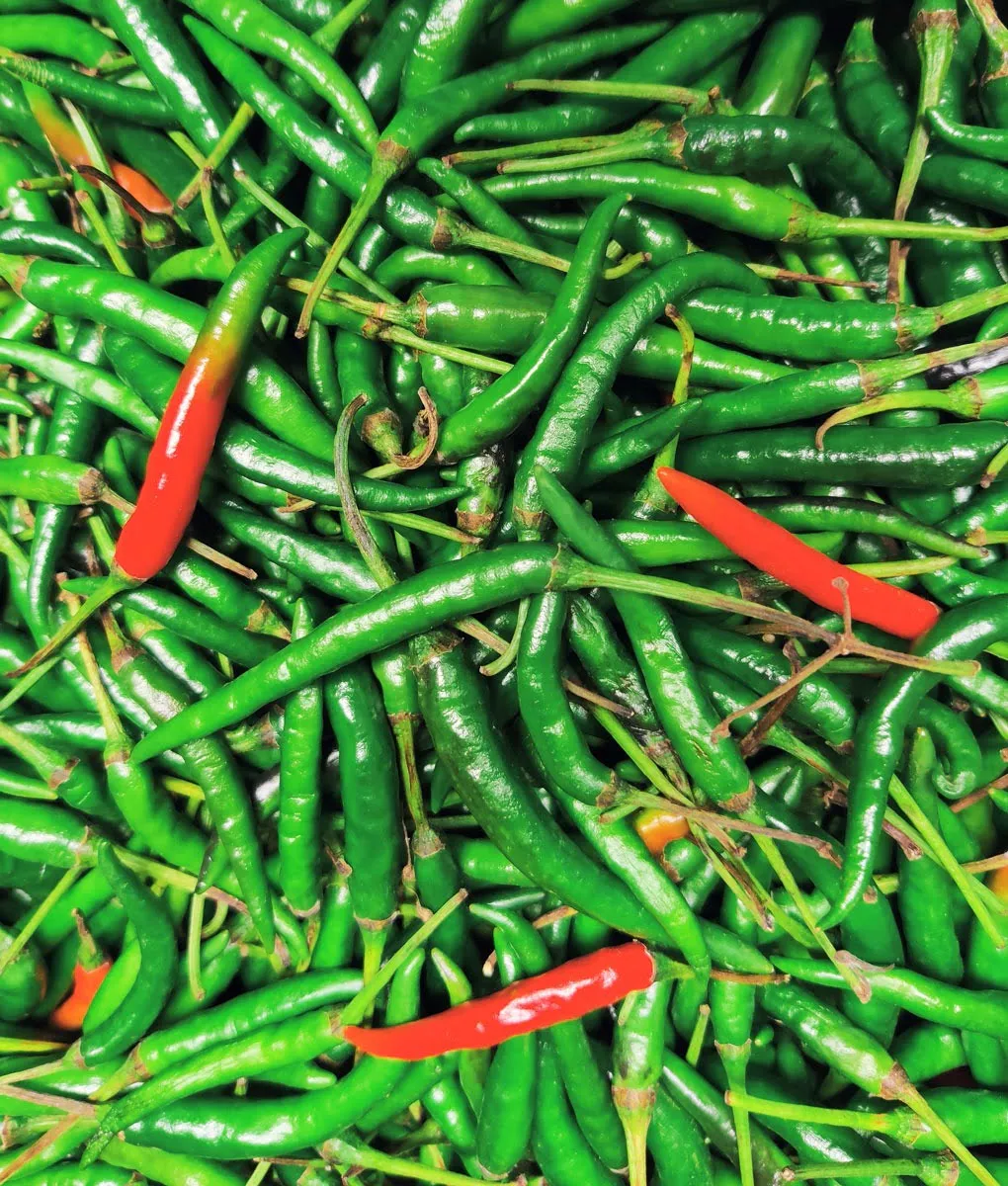 Green Chilli