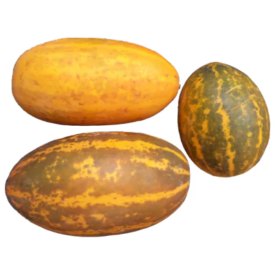 Vellarikka